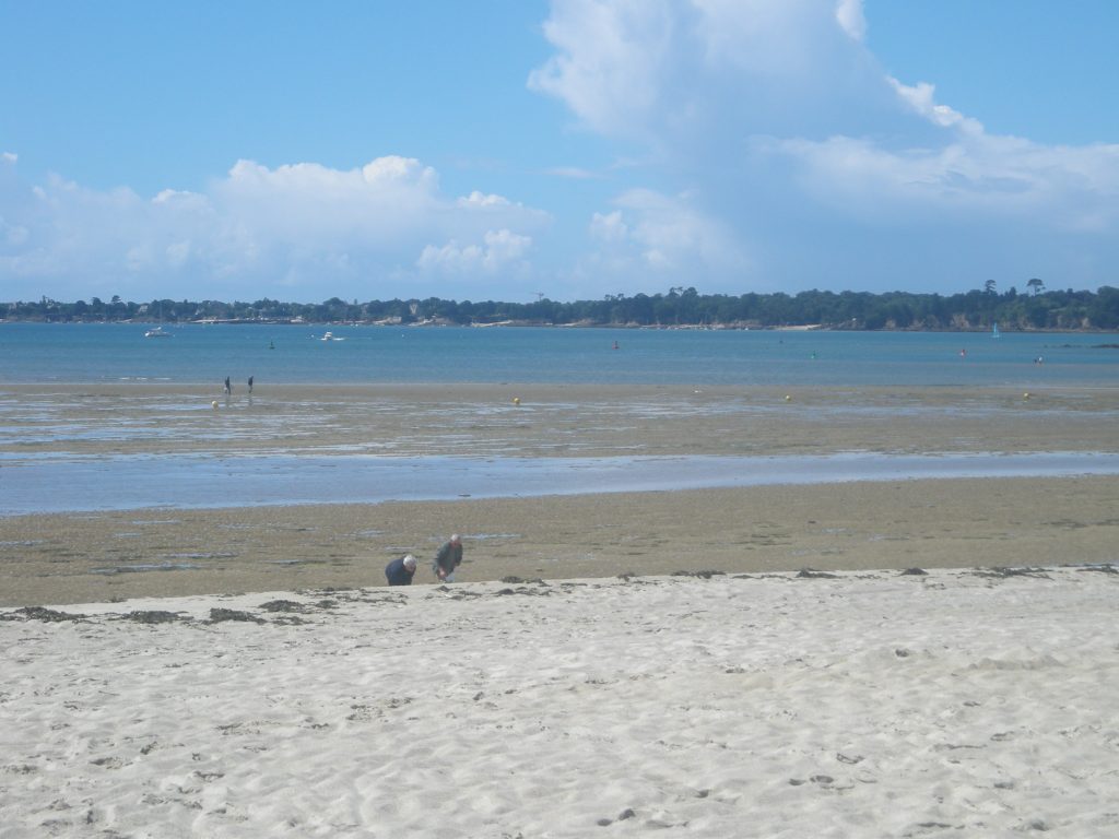 pêche à pied